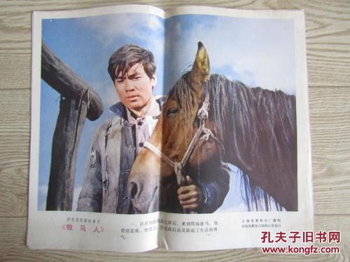 国际高等研究学校学士学位证